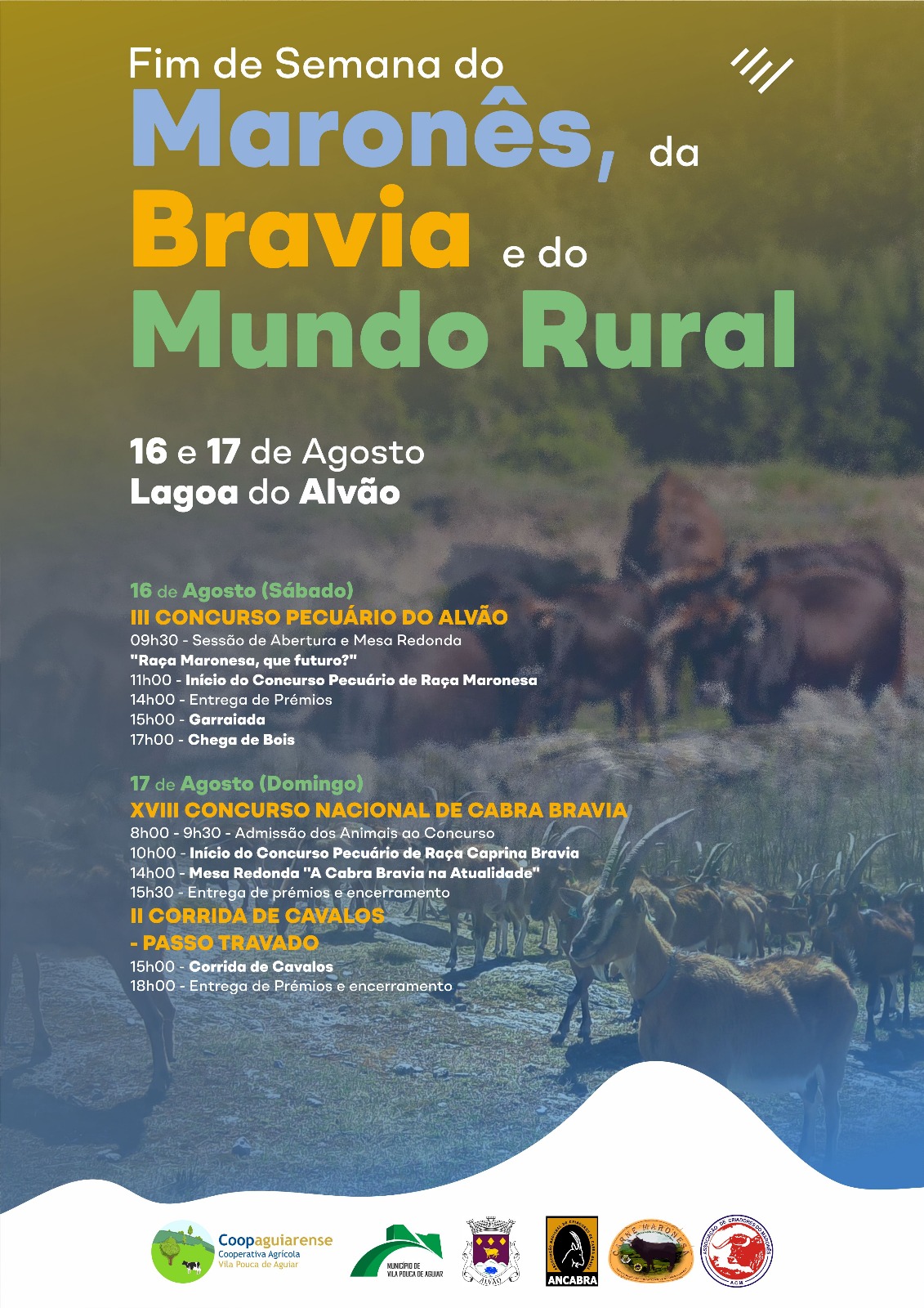 20250817_XVIII-CNCB_cartaz.jpeg