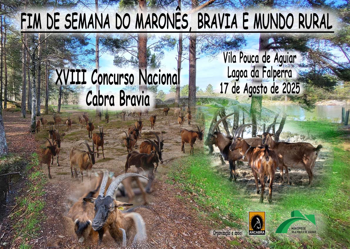 20250817_XVIII-CNCB_cartaz_v3.jpeg